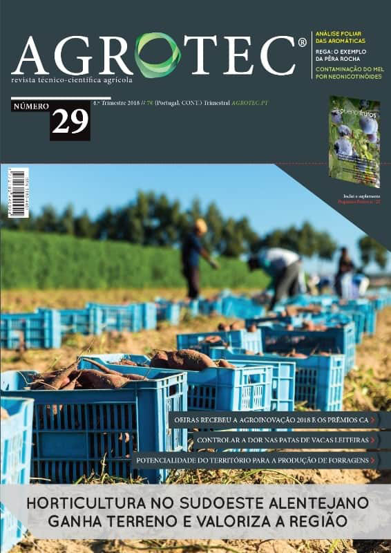 #29 | Horticultura no Sudoeste Alentejano