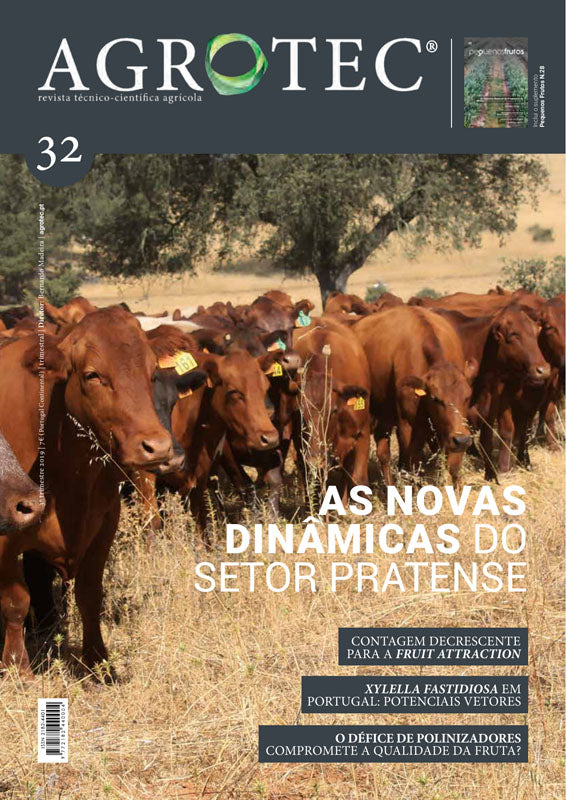 #32 | O setor pratense