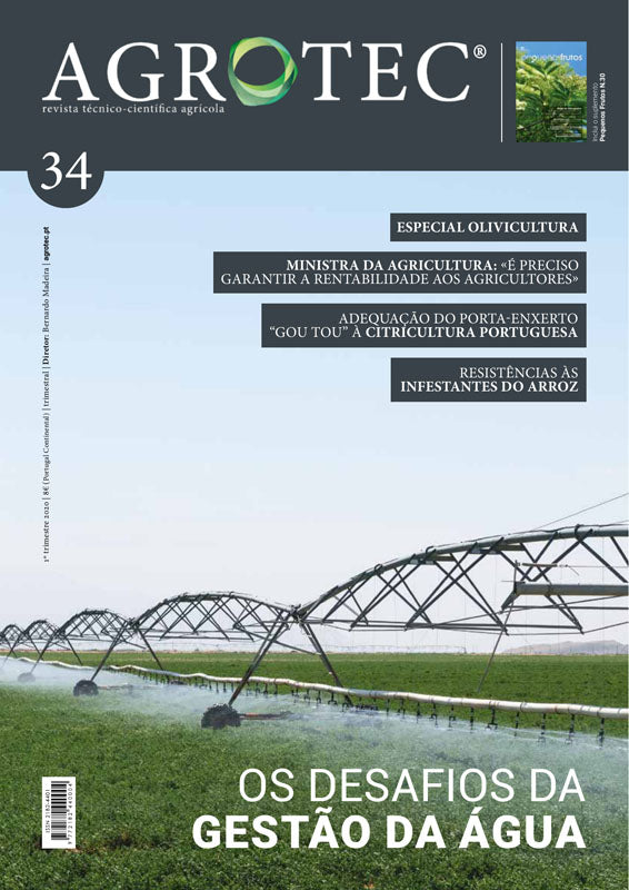 #34 | Gestão da Água