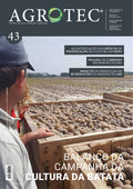 #43 | Cultura da Batata