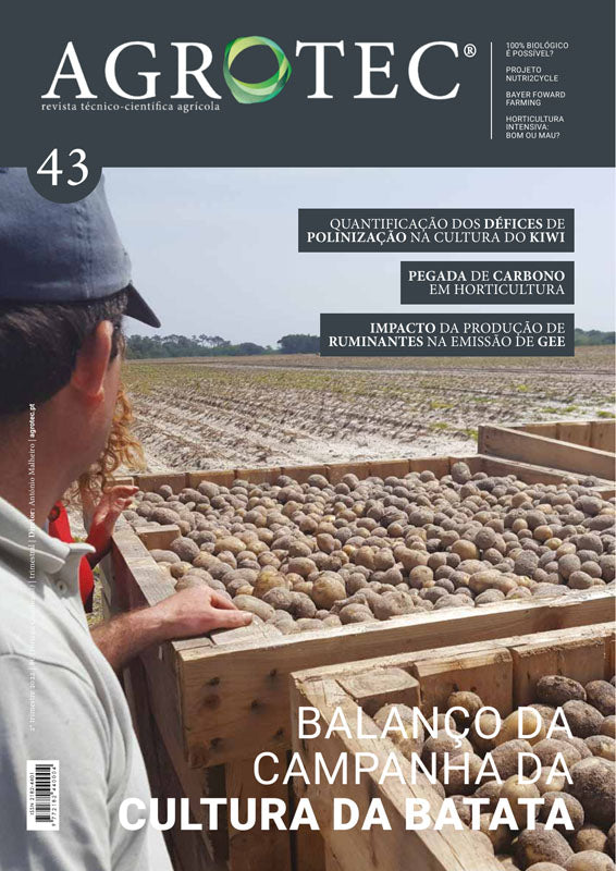 #43 | Cultura da Batata