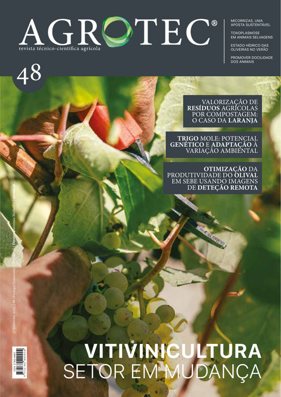 #48 | A Vinha e o Vinho