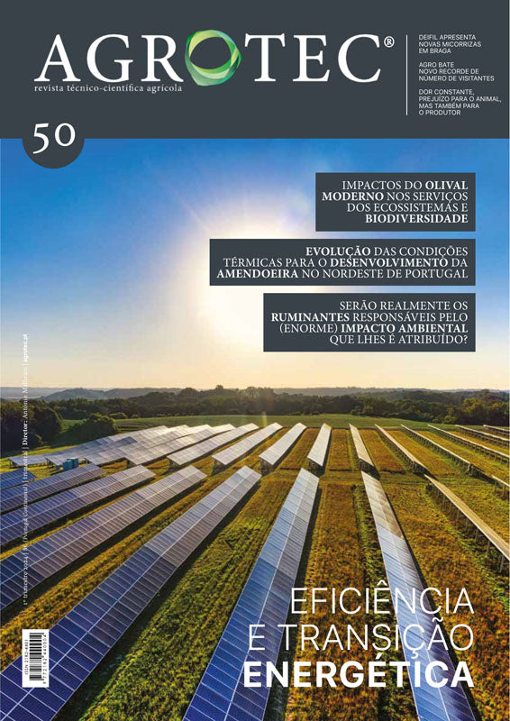 #50 | Eficiência e Transição Energética