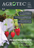 #51 | Pequenos Frutos