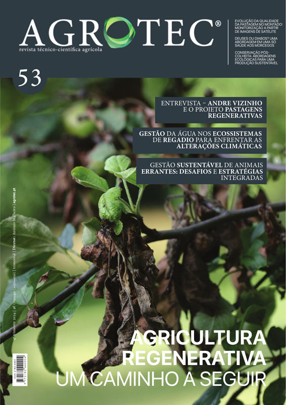 #53 | Gestão Eficiente de Recursos