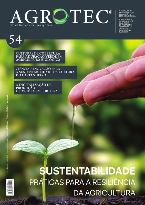 #54 | Sustentabilidade
